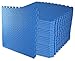 ComFy Mat Gym Flooring Mat, Foam Exercise Mats, Interlocking Puzzle EVA Floor Tiles, Non slip Rubber Cushion For Home Workout, Bonus Adhesives,24"X24"(60x60cm) Blue 44 TILES (176 Square Feet)